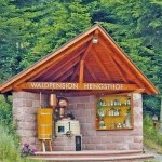 Waldpension Hengsthof
