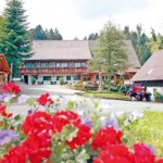 Waldpension Hengsthof